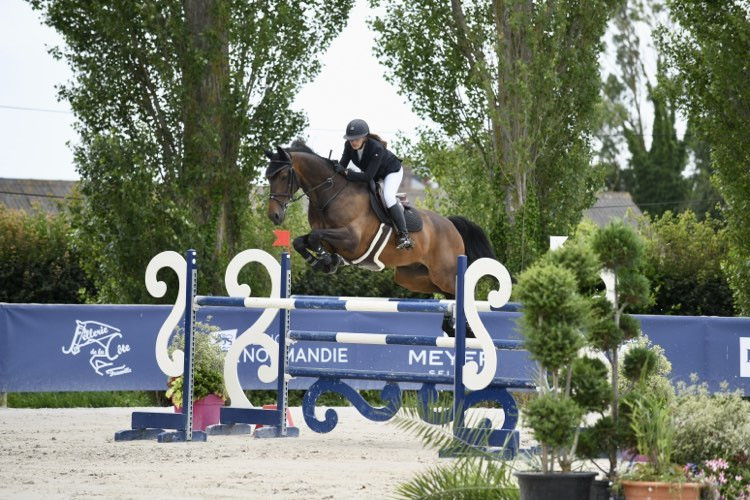 Vente de cheval : dor el one